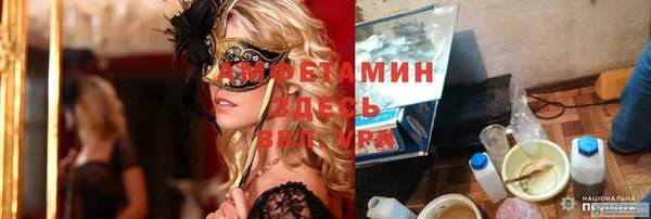 стаф Алзамай