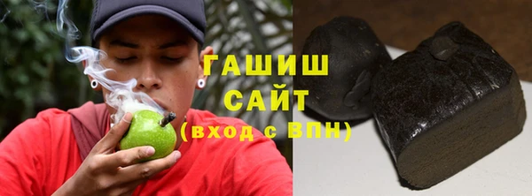 стаф Алзамай