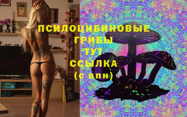 эйфоретик Алексин