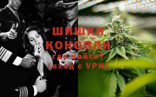 стаф Алзамай