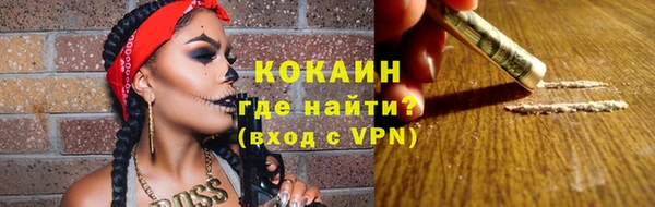 стаф Алзамай
