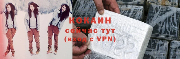 стаф Алзамай