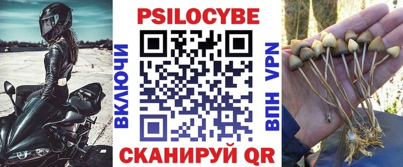 гидра ССЫЛКА Пущино Галлюциногенные грибы ЛСД закладки